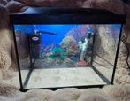 Super fish aquarium met spullen, Dieren en Toebehoren, Vissen | Aquaria en Toebehoren, Ophalen, Zo goed als nieuw, Leeg aquarium