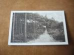 SOEST  >  BOSCHGEZICHT VOSSEVELD   1931, Verzamelen, Verzenden, 1920 tot 1940, Gelopen, Utrecht