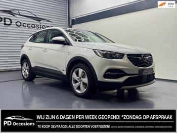 Opel Grandland X 1.6 Turbo Plug-In Hybrid Elegance - Camera  beschikbaar voor biedingen