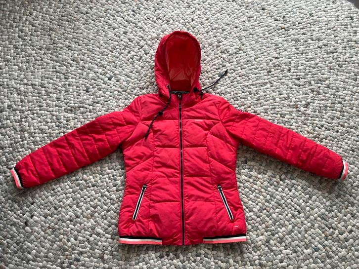 Rode Gaastra winterjas - Maat L, Kleding | Dames, Jassen | Winter, Zo goed als nieuw, Maat 42/44 (L), Rood, Ophalen of Verzenden