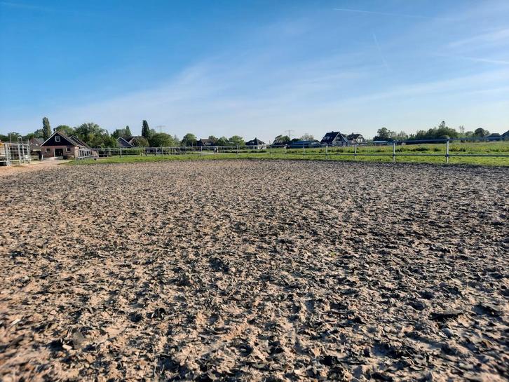 Op onze privé/pensionstal hebben wij enkele binnenboxen vrij, Dieren en Toebehoren, Stalling en Weidegang, Stalling, Weidegang
