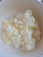 Kefir korrels, Diversen, Ophalen of Verzenden