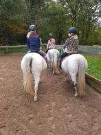 Instructrice gezocht, Heiloo,  Noord Holland, Diensten en Vakmensen, Dieren | Paarden | Verzorging, Oppas en Les