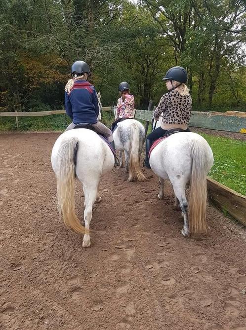 Instructrice gezocht, Heiloo,  Noord Holland, Diensten en Vakmensen, Dieren | Paarden | Verzorging, Oppas en Les
