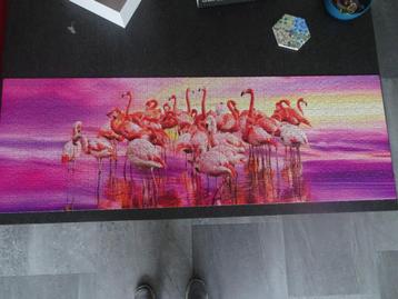 Flamingo Dance (1000 stukjes) beschikbaar voor biedingen