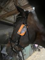 Schockemohle equitus beta, Dieren en Toebehoren, Paarden en Pony's | Hoofdstellen en Tuigage, Ophalen of Verzenden, Nieuw, Dressuur