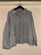 Dames grijze trui van Hema, Kleding | Dames, Truien en Vesten, Ophalen of Verzenden, Zo goed als nieuw, Grijs