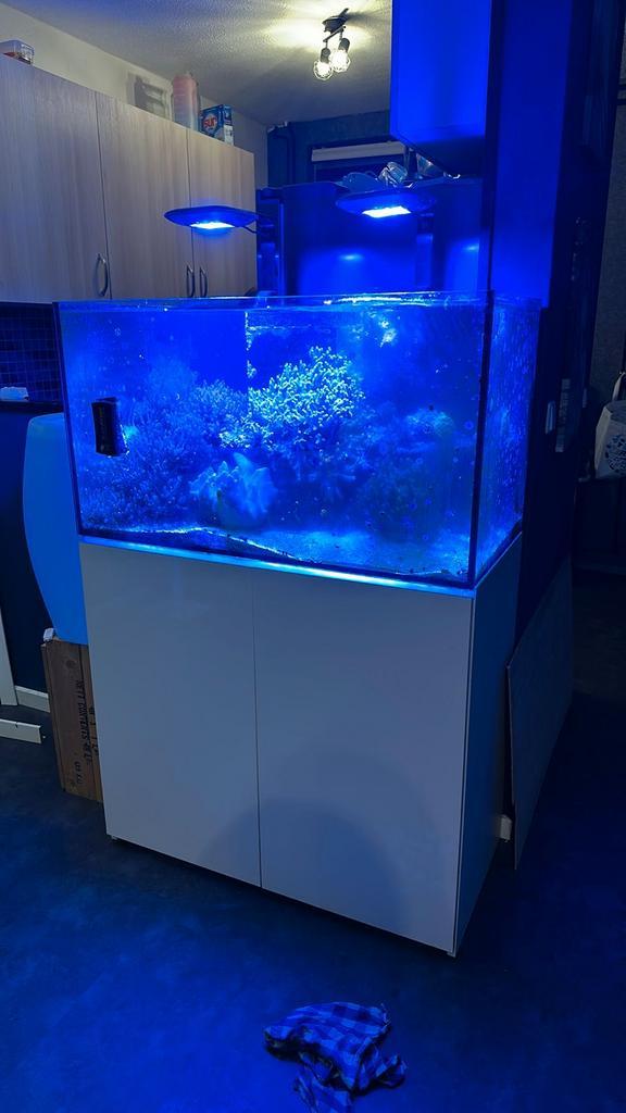 Aqua Medic Armatus 300 compleet zeeaquarium, Dieren en Toebehoren, Vissen | Aquaria en Toebehoren, Gebruikt, Leeg aquarium, Ophalen