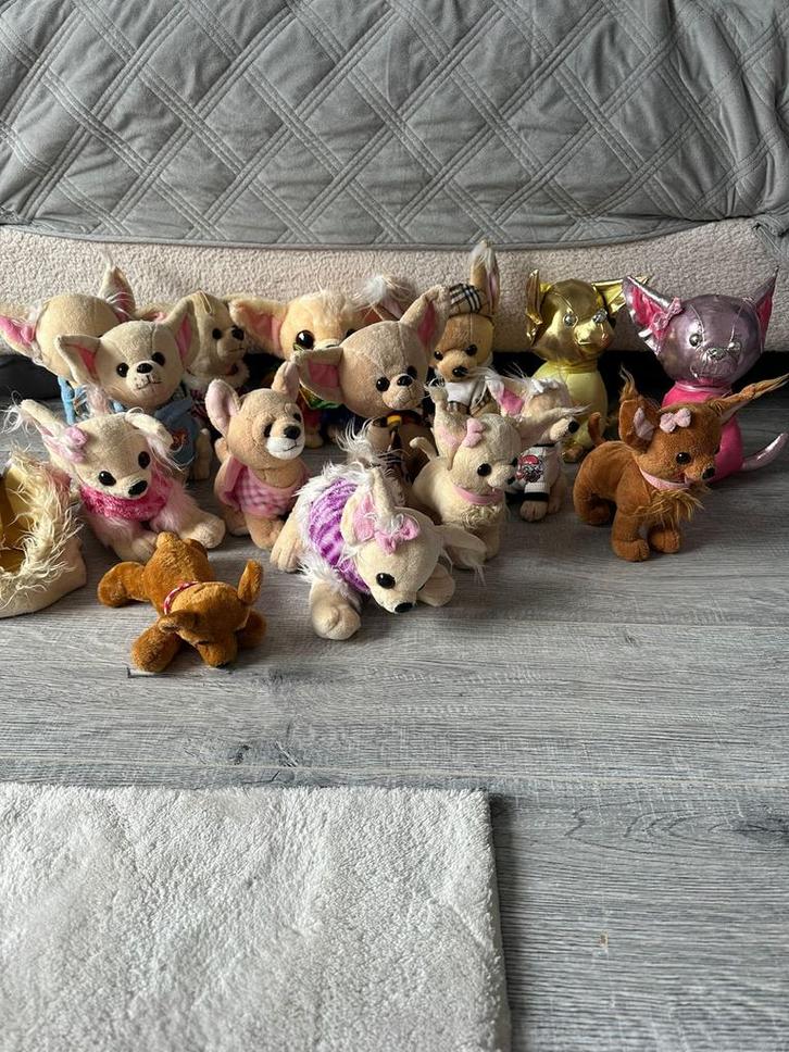 15 Chihuahua Knuffels - Verzameling!, Kinderen en Baby's, Speelgoed | Knuffels en Pluche, Gebruikt, Hond, Ophalen of Verzenden