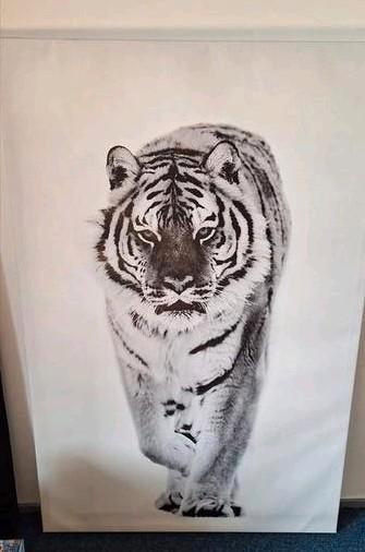 Tijger Print canvas 78x118 beschikbaar voor biedingen