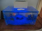 Design aquarium 30 liter., Ophalen, Zo goed als nieuw, Leeg aquarium