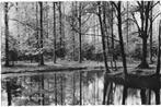 Ulvenhout, Bosvijver, Verzamelen, Ansichtkaarten | Nederland, Verzenden, 1960 tot 1980, Gelopen, Noord-Brabant