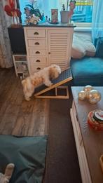 Hondenloopplank, Dieren en Toebehoren, Ophalen, Zo goed als nieuw