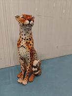 cheetah, Ophalen, Zo goed als nieuw, Dier