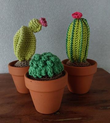 Nieuw- 3 delig set gehaakte cactussen in terracotta potjes beschikbaar voor biedingen
