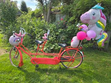 Tandem gazelle beschikbaar voor biedingen