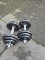 Halterset 2x15kg (3, 2, 1 kg schijven), Ophalen of Verzenden, Gebruikt, Rug, Halterset