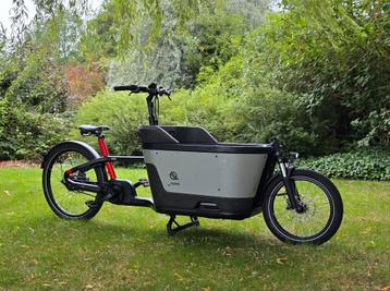 Carqon Cruise / 2023 / 2835 km / 400wh! beschikbaar voor biedingen