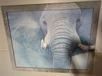Schilderij Olifant, Ophalen, Gebruikt, Print, 100 tot 125 cm