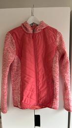 Fleecetrui zeiltrui of ski trui maat 176, Ophalen of Verzenden, Zo goed als nieuw, Meisje, Trui of Vest