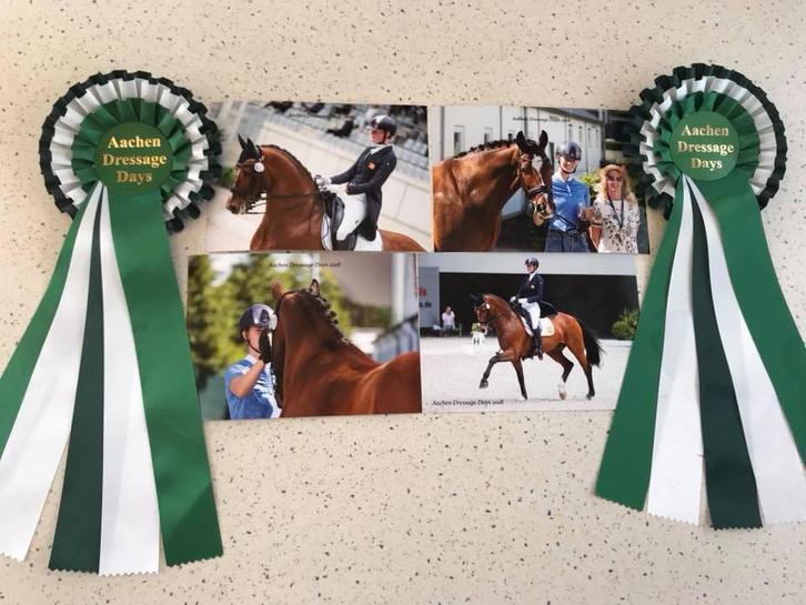 Orun niveau 4 trainster en lichte tour amazone plek, Dieren en Toebehoren, Stalling en Weidegang