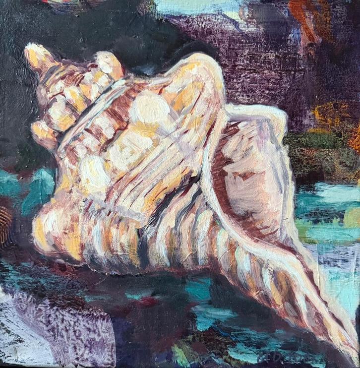 Grote schelp, Antiek en Kunst, Kunst | Schilderijen | Klassiek, Ophalen of Verzenden