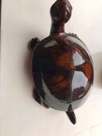 Schildpad in twee delen, Ophalen of Verzenden