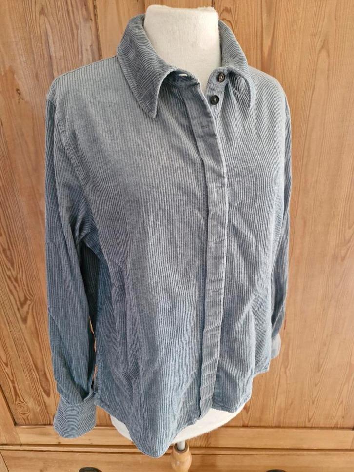 Drykorn lichtblauw corduroy blouse Sanie katoen mt 36 zgan, Kleding | Dames, Blouses en Tunieken, Zo goed als nieuw, Maat 36 (S)