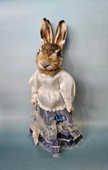 Taxidermie Haas in Jurk beschikbaar voor biedingen