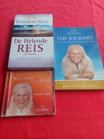 2 x boek plus cd brandonbays beschikbaar voor biedingen