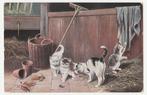 Poezen bij maiskolven en tor.    1907.  Cats., Verzamelen, Ansichtkaarten | Themakaarten, Gelopen, Overige thema's, Voor 1920
