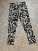 Broek van Para Mi. Maat 40, Maat 38/40 (M), Overige kleuren, Ophalen of Verzenden, Zo goed als nieuw