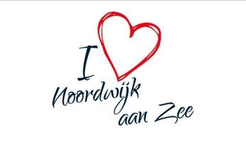 Kamer/studio/woonruimte gezocht in Noordwijk aan Zee  beschikbaar voor biedingen