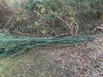 Bamboe palen/stokken, Ophalen, Zo goed als nieuw, 180 tot 250 cm, Palen