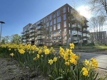 NIEUW! Woonruimte te huur Winklerlaan, Utrecht beschikbaar voor biedingen