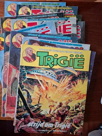 Trigie 12 delen  beschikbaar voor biedingen