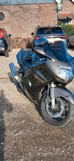 Honda blackbird, 4 cilinders, Super Sport, Particulier, Meer dan 35 kW