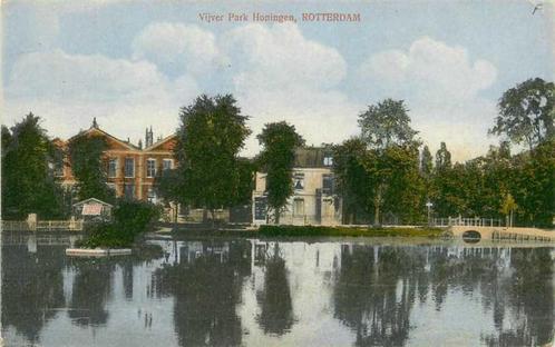 (380-965-009) Rotterdam Vijver Park Honingen, Verzamelen, Ansichtkaarten | Nederland, Zuid-Holland, Ophalen of Verzenden