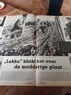 Artikel rijshout werkers Biesbosch 1954, Verzamelen, Ophalen of Verzenden, 1940 tot 1960, Knipsel(s)
