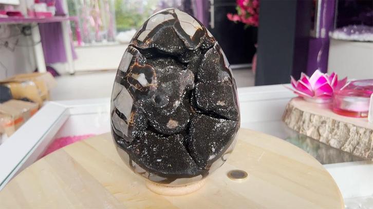 Septarie Ei (7) 3,8 kg! 14x14x18 cm, met pracht dop., Verzamelen, Mineralen en Fossielen, Mineraal, Ophalen of Verzenden