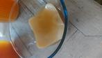 Kombucha scoby, Ophalen