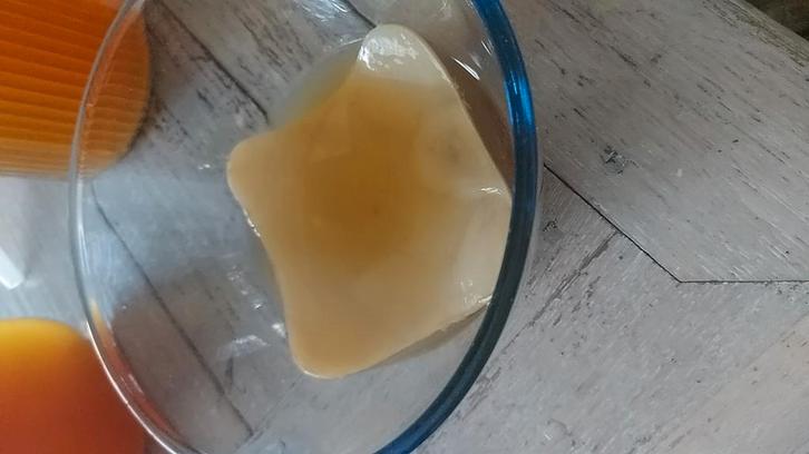 Kombucha scoby, Diversen, Levensmiddelen, Ophalen