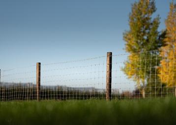 Weidepalen, Palen, Houten paal, Omheining, Hekwerk beschikbaar voor biedingen