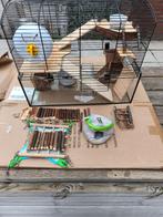Hamsterkooi inclusief veel toebehoren & voer., Dieren en Toebehoren, Kooi, Gebruikt, Minder dan 75 cm, Hamster