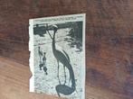 Knipsel dierentuin Artis Amsterdam kraanvogel jongen 1952, Verzamelen, Ophalen of Verzenden, 1940 tot 1960, Knipsel(s)