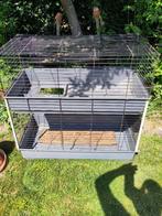 Konijnenhok / flat, Dieren en Toebehoren, Knaagdieren en Konijnen | Hokken en Kooien, Gebruikt, 90 cm of meer, Hok, 75 tot 110 cm