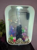 BiOrb 60 liter aquarium compleet met vissen, Dieren en Toebehoren, Ophalen, Zo goed als nieuw, Gevuld zoetwateraquarium