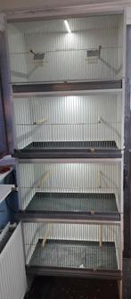 Broedkooien - Kweekkooien, Dieren en Toebehoren, Ophalen, Gebruikt, Hout, Broedkooi of Kweekkooi