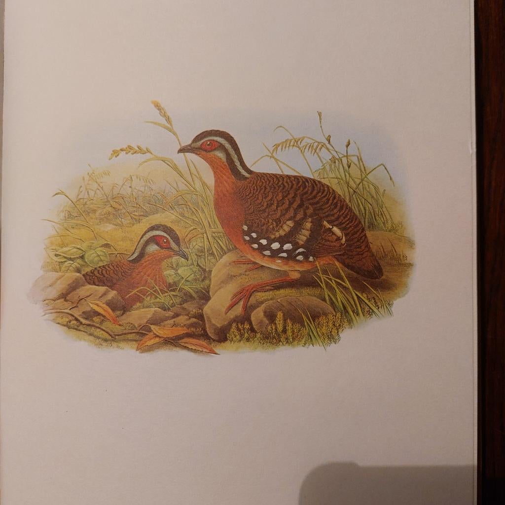 Vogelwelt Asiens - A. Rutgers  2 delen, Ophalen of Verzenden, Gelezen, Vogels, A. Rutgers