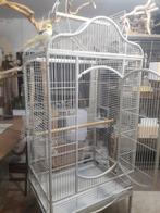 3 x Ara Amazone Papegaai vogel kooi, Ophalen, Gebruikt, Metaal, Vogelkooi